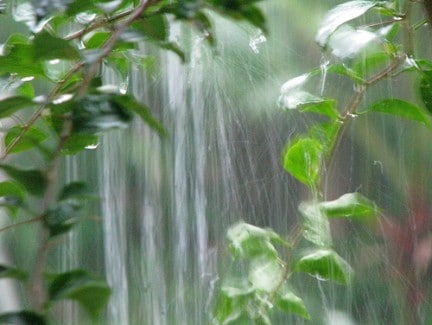 agua de Lluvia